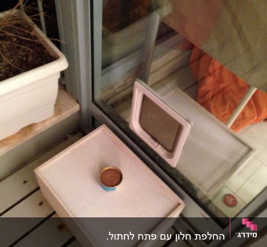 מחכה לחתול...:)